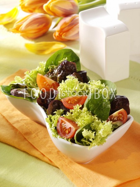 Blattsalat mit frischem Spinat 1